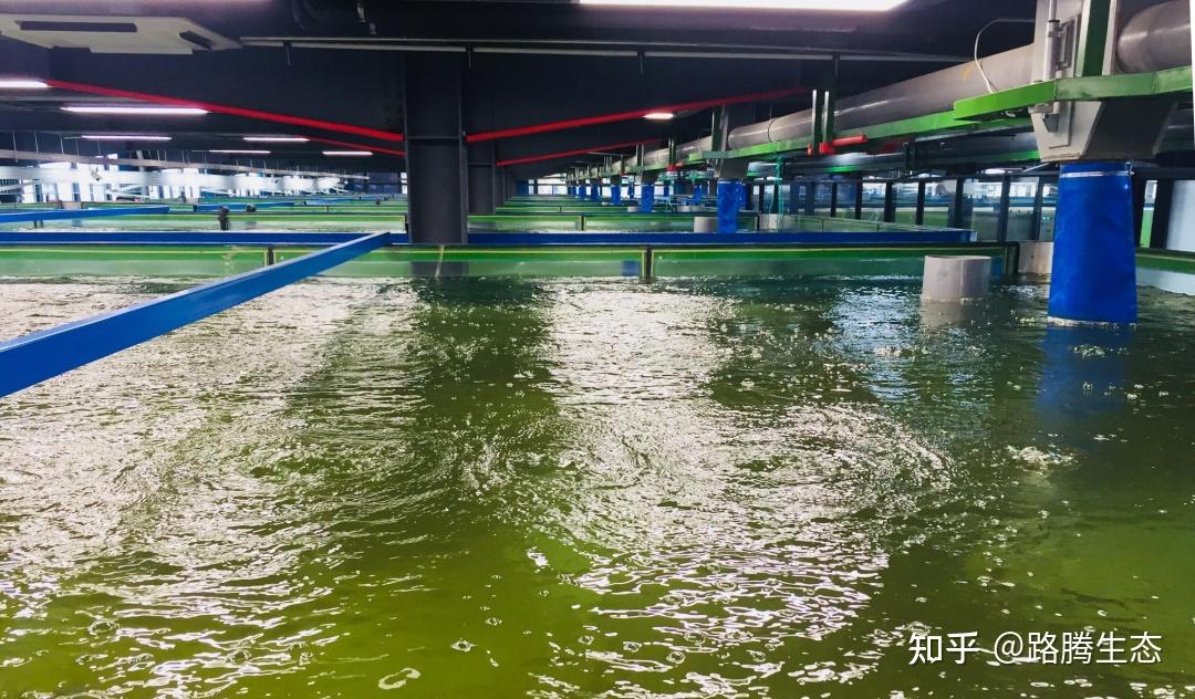 一场“以水定城”的幸福河湖建设实践》