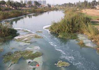 就三川河生态环境综合治理项目进行合作洽谈