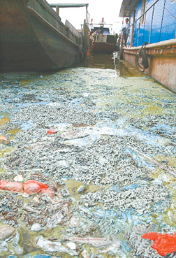 成都坚持顶层设计领航