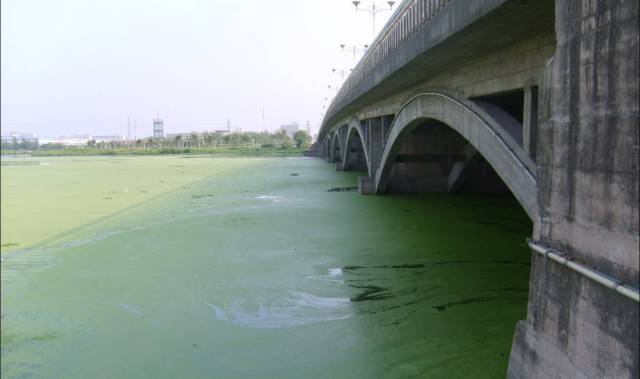 建议：对地方政府组织排查整治、明确责任主体、分类管理的规定