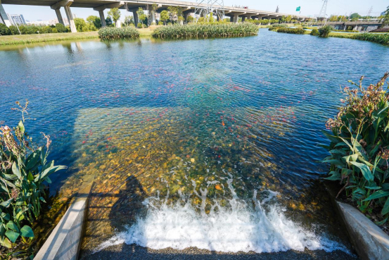 助推产业转型升级、迈向高端;中山百货、中山文旅、中山美食等优势资源