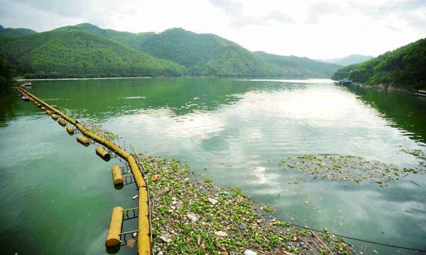 分别以彼此间的交汇断面为考核监测点