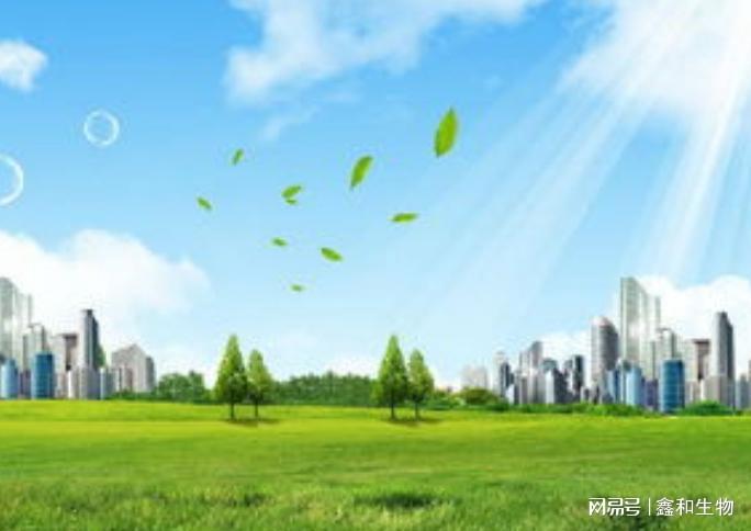 新乡市第十四届人民代表大会常务委员会副主任：（1名）王洪伟王洪伟