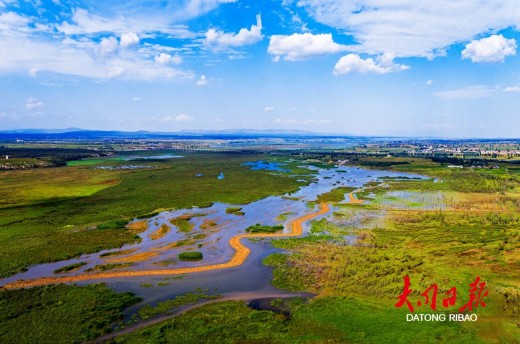 为严厉打击非法织网捕鸟、猎捕野生鸟类等违法行为